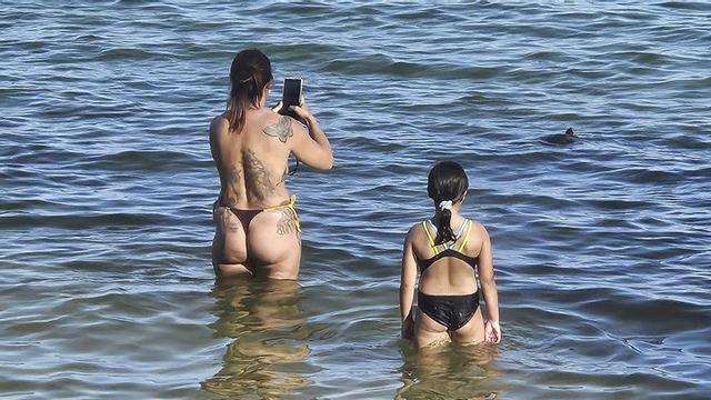 Una tortuga sorprende a los bañistas en la playa | FERNANDO MUÑAGORRI