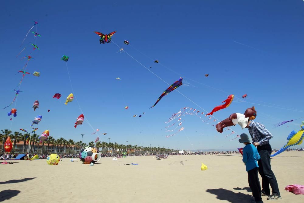 Festival del Viento 2016 en la Malva-rosa