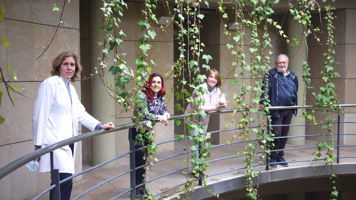 Descubren que una variedad tradicional valenciana de &#039;garrofó&#039; se adapta mejor al cambio climático