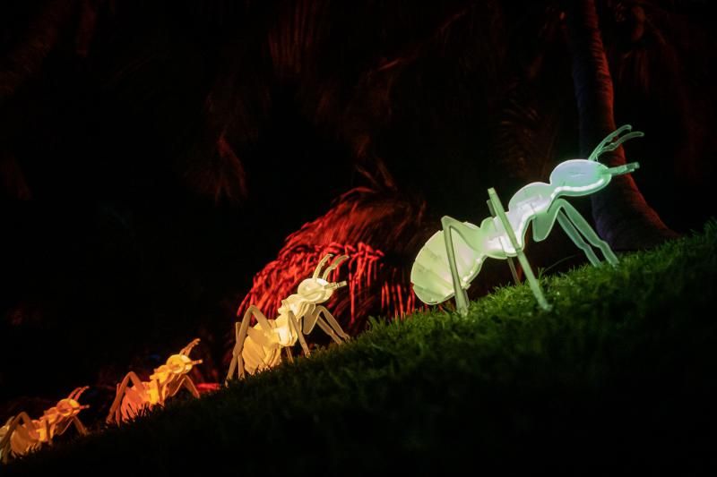 'Naturaleza Encendida'  en el Palmetum (Santa Cruz de Tenerife)