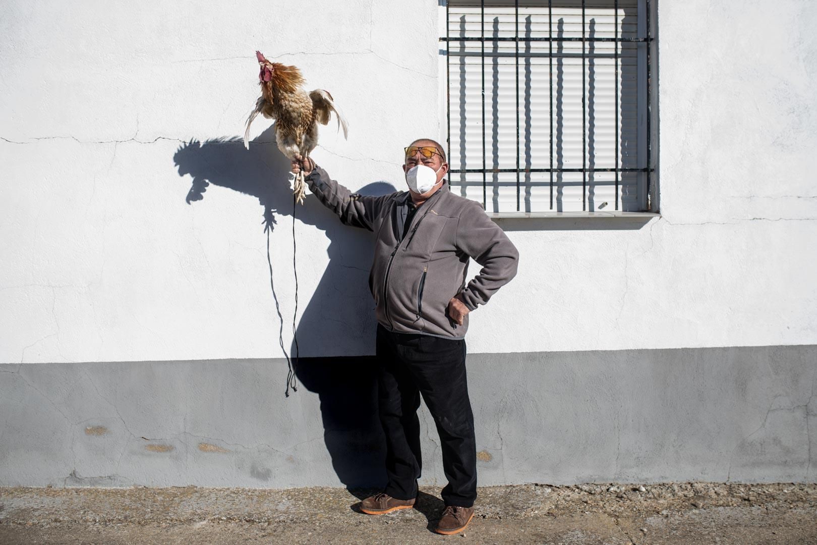 GALERÍA | La Carrera del Gallo del Pego, en imágenes