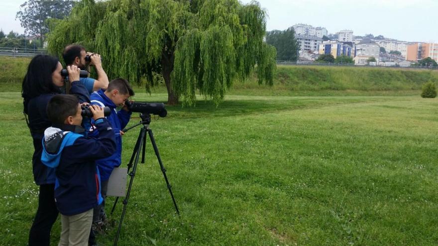 Una actividad de avistamiento e identificación de especies de la Reserva de Biosfera. |   // L. O.