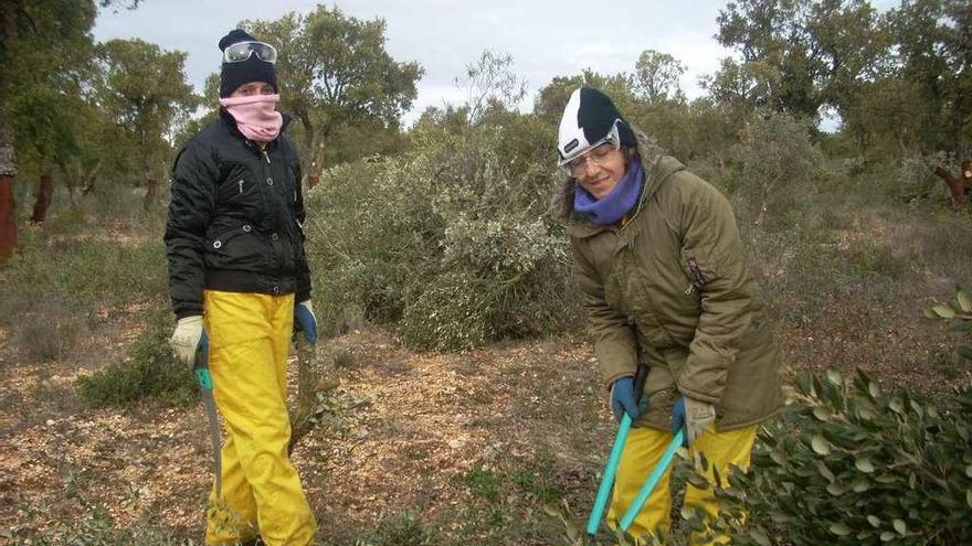 Monte Navarrasa, de Mayalde, uno de los incluidos en el plan dasocrático encargado por la Junta.