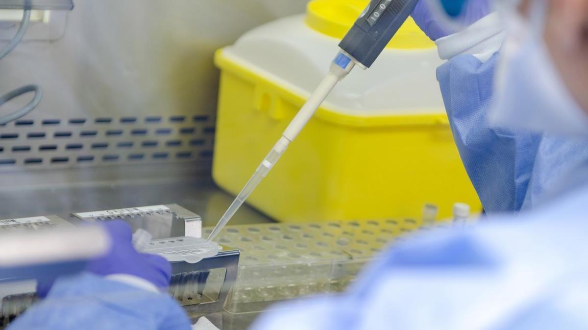 Bruselas adquirirá 2 millones de vacunas contra la viruela del mono para 14 países.