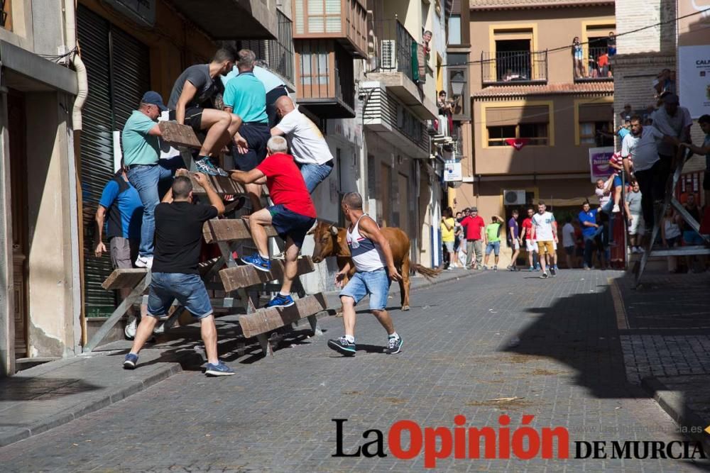 Primer encierro Fiestas de Moratalla