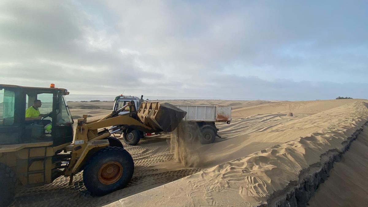 Un tractor carga arena en un camión para trasportarla hasta la orilla de Playa del Inglés.