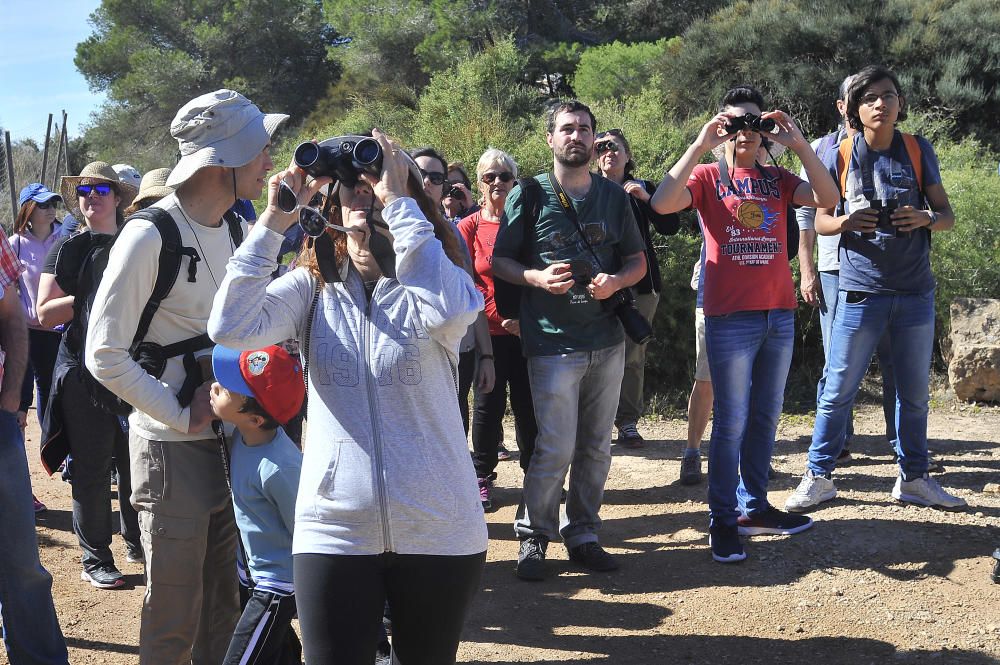 Día Internacional de las Aves Migratorias