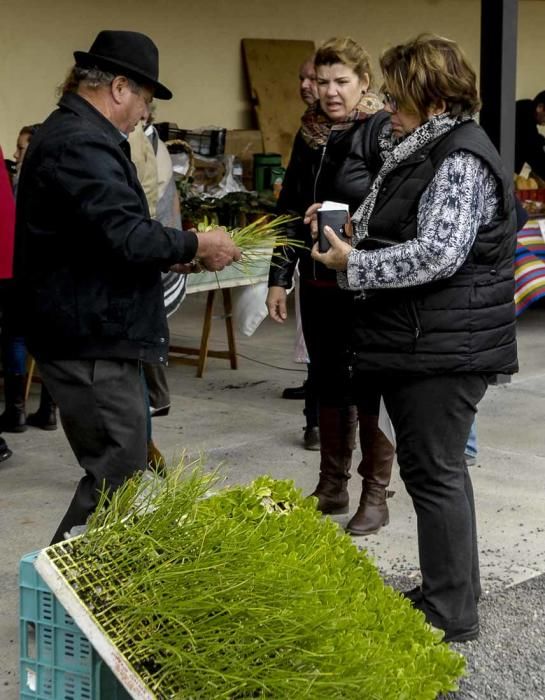 Mercado de berros a 1 euro en Ingenio