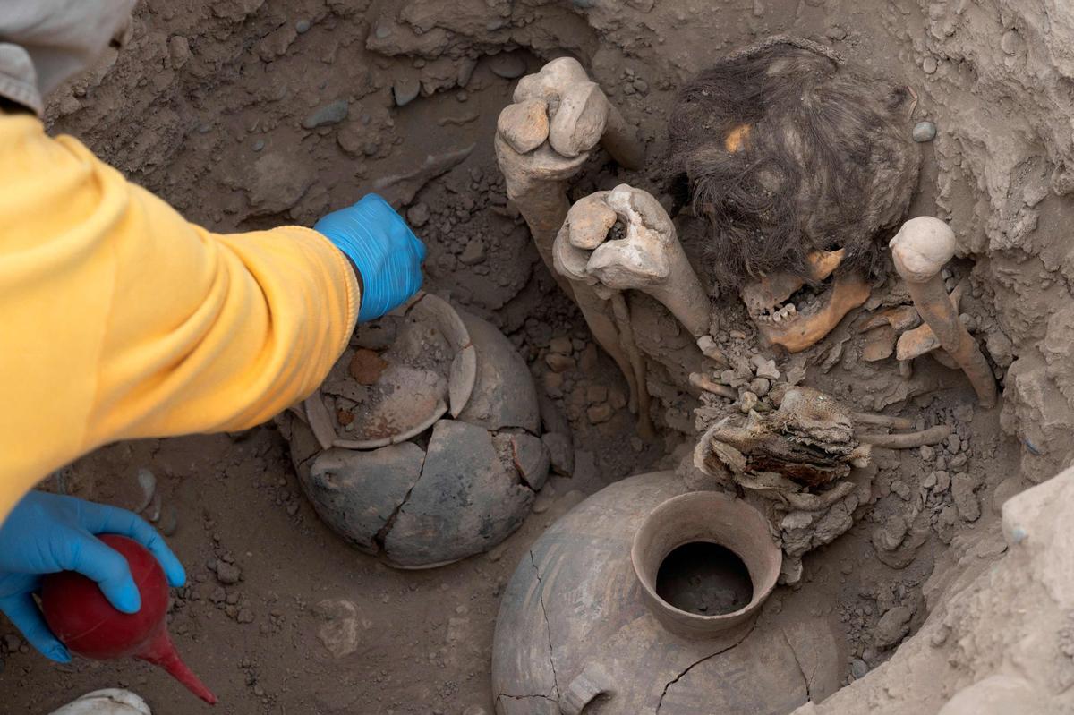 Descubierta una momia perteneciente a la cultura preinca Ychsma enterrada en una cámara funeraria poco profunda en una excavación en la Huaca (Santuario) Pucllana, en el corazón de una zona residencial del distrito de Miraflores en Lima, el 5 de septiembre de 2023. Los Ychsma se formaron alrededor del año 1100 d.C. tras la desintegración del Imperio de la Guerra, cuya autonomía duró hasta alrededor de 1450, cuando fueron absorbidos por el Imperio Inca que vivía en lo que ahora se considera el Perú central.