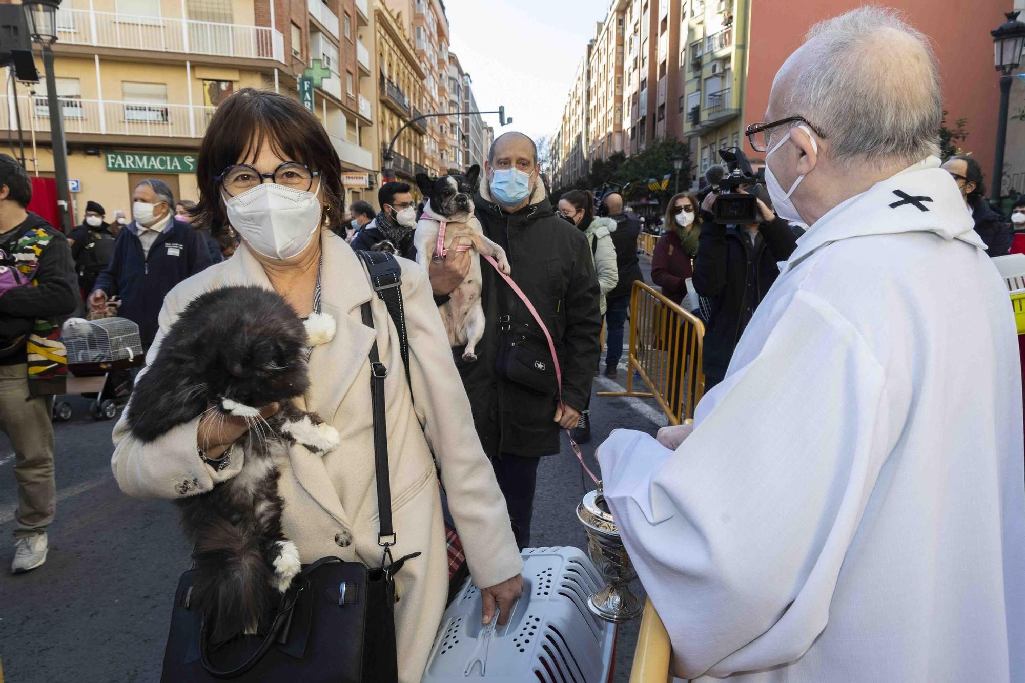 Búscate en la bendición de animales de Sant Antoni