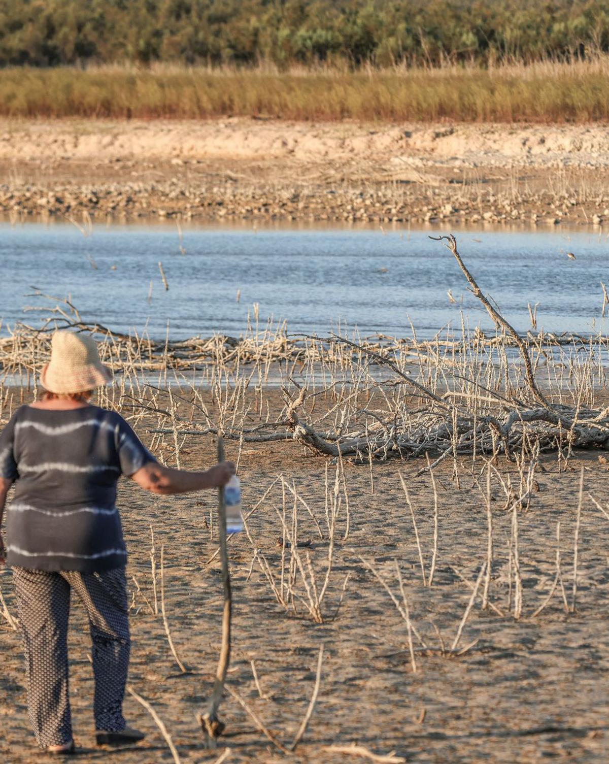 Los pantanos de la cuenca del Segura están bajo mínimos. | TONY SEVILLA
