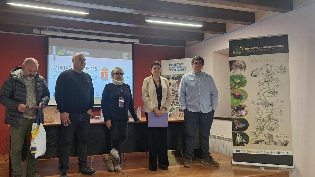Presentación del proyecto Autopista transfronteriza de insectos pilinizdores en Murias.