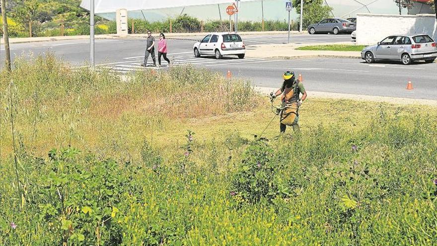 Un bando de alcaldía recuerda que es obligatorio desbrozar los solares en Plasencia