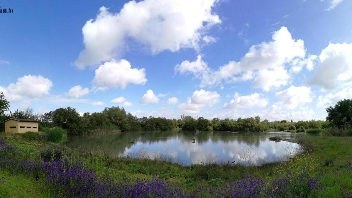 La Laguna de Fuente del Rey, en Dos Hermanas, una parada imprescindible en Sevilla para los amantes de la naturaleza