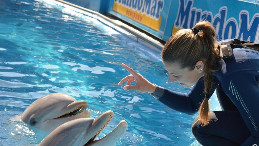 Mundomar inicia su temporada número 30 este sábado 28 de marzo