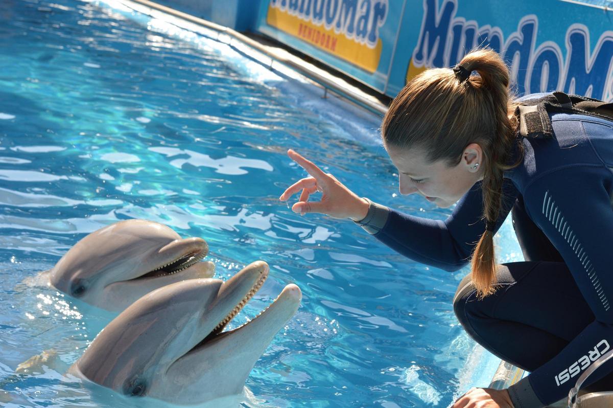 La Fundación Mundomar continúa con su proyecto más destacado: la terapia asistida con delfines.