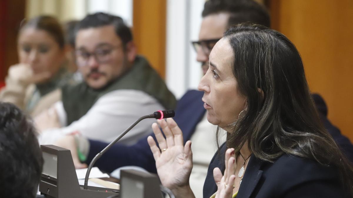 La portavoz de Vox en el Ayuntamiento, Paula Badanelli, durante un pleno.
