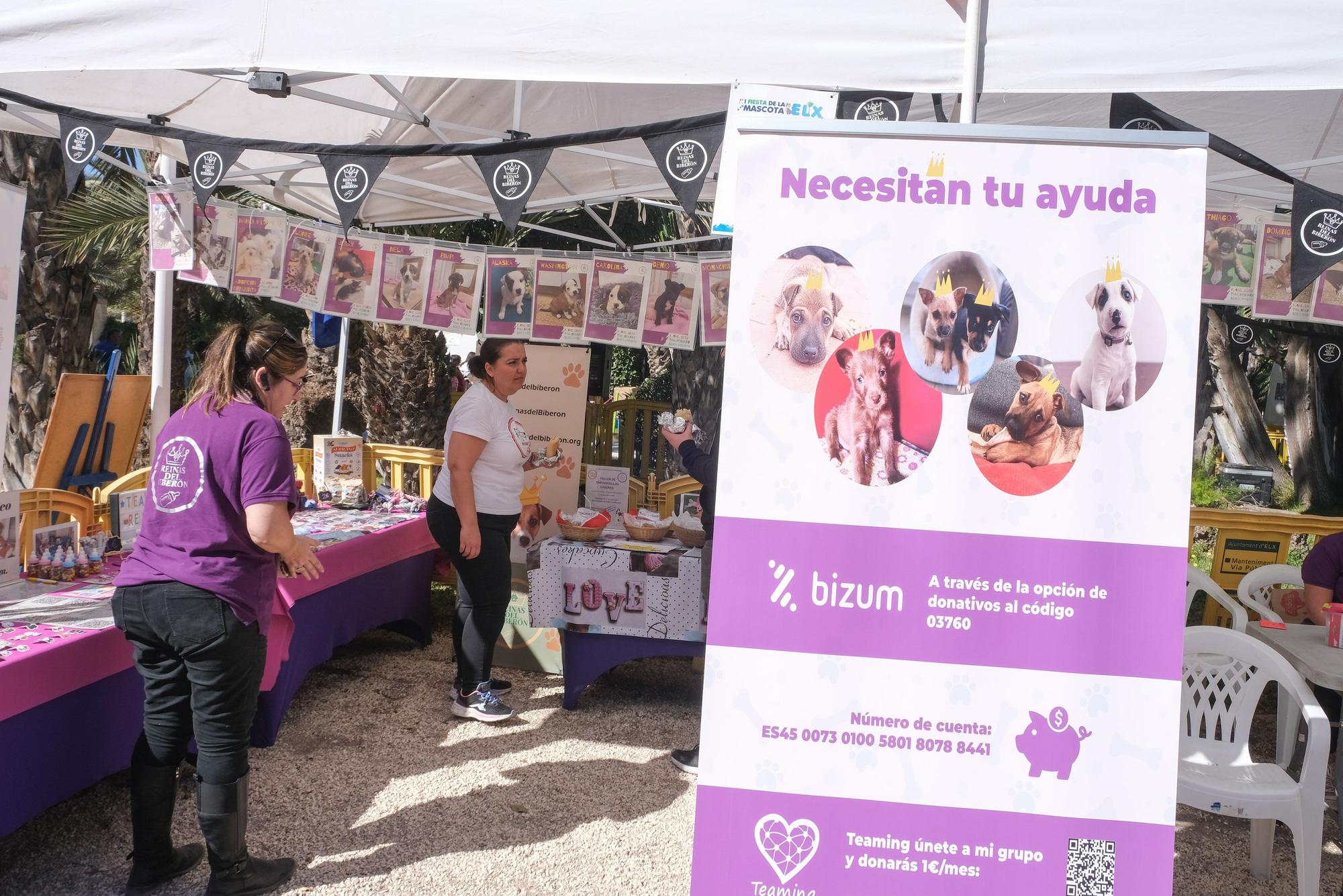 Fiesta de las mascotas en Elche