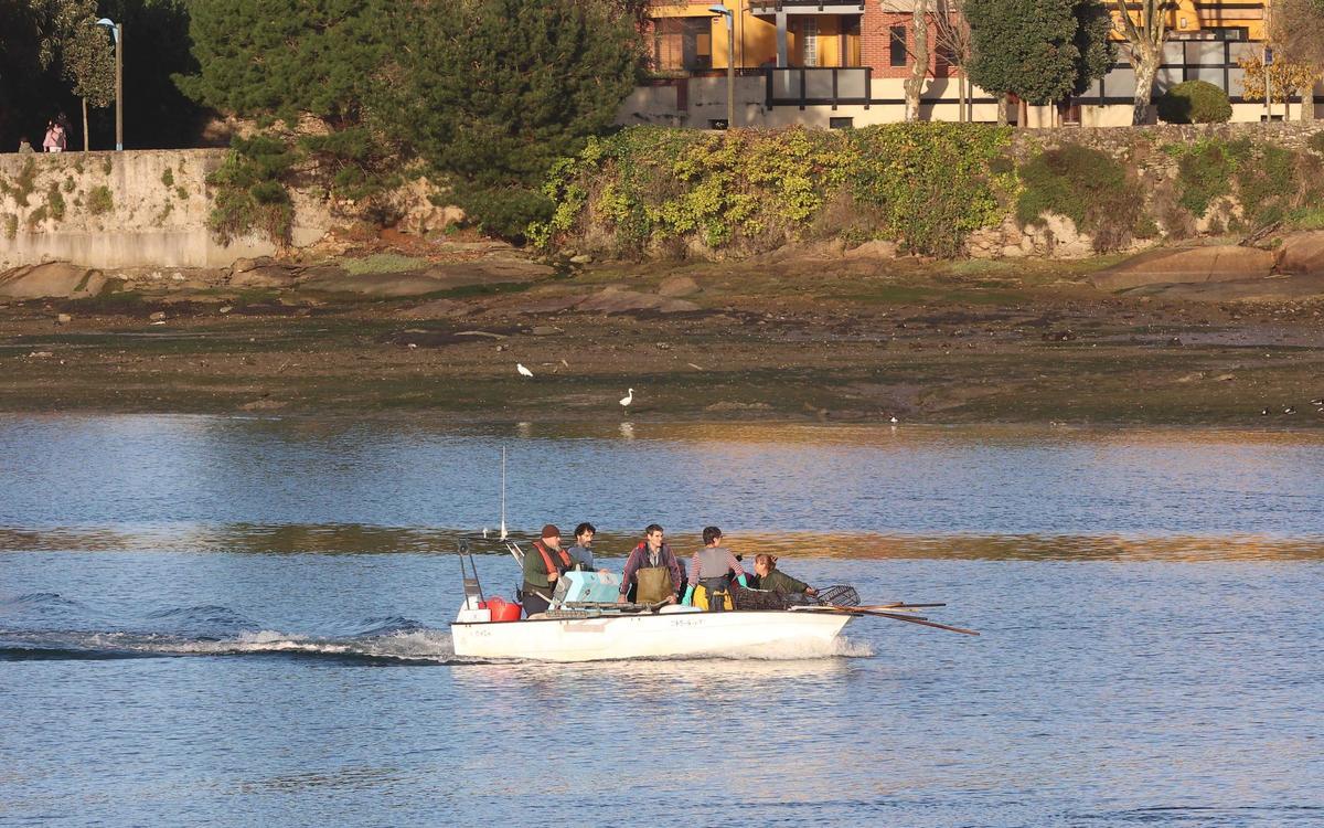 Los mariscadores a pie de la ría de O Burgo vuelven a faenar tras casi cuatro años de espera Los mariscadores a pie de la ría de O Burgo vuelven a faenar tras casi cuatro años de espera