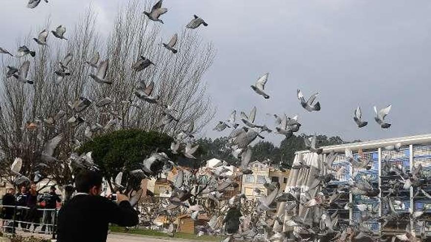 Suelta de palomas en Cangas en un trofeo anterior.