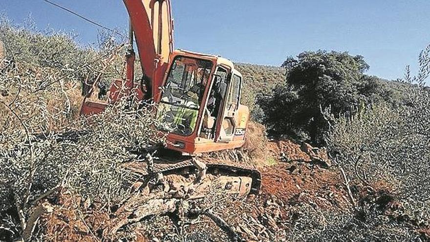 Comienzan las obras del camino de la cruz