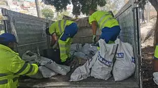 60 toneladas de basura desperdigada por Las Palmas de Gran Canaria: el Ayuntamiento actúa contra los vertederos ilegales