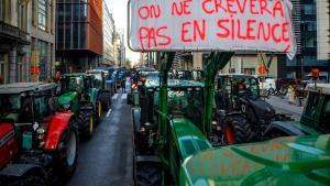 Los agricultores protestan en Bruselas durante la cumbre europea