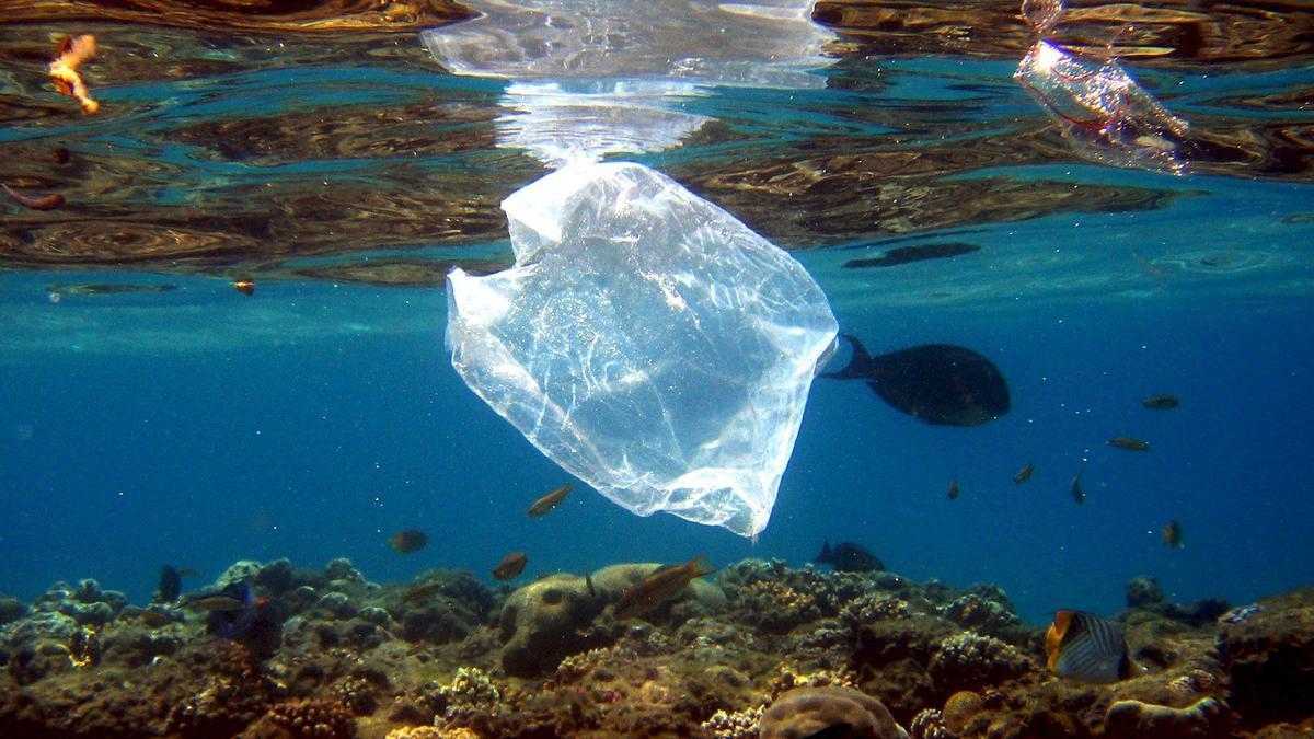 Residuos plásticos en el mar junto a los peces en un arrecife de coral.