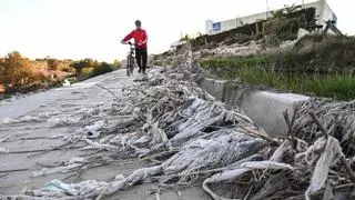 Un azud atrapado por una marea de toallitas en medio del sendero del río Vinalopó a su paso por Elche