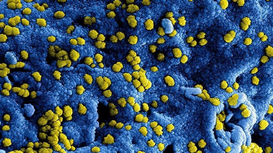 La UE y la OMS piden la vacunación conjunta de gripe y coronavirus para este invierno