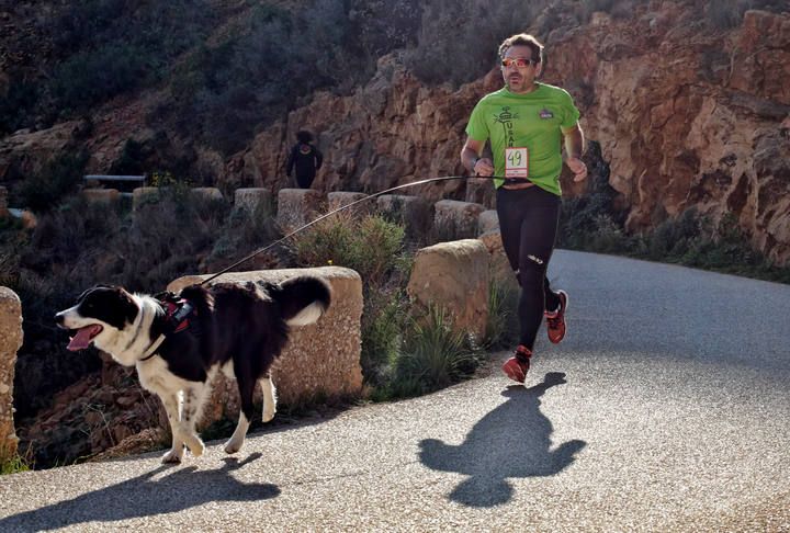 «Running» solidario con perros por l'Alfàs del Pi