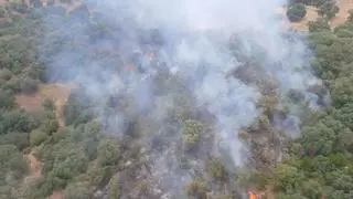 Estabilizado el incendio declarado en la finca La Jarosa, cerca de la barriada de Trassierra