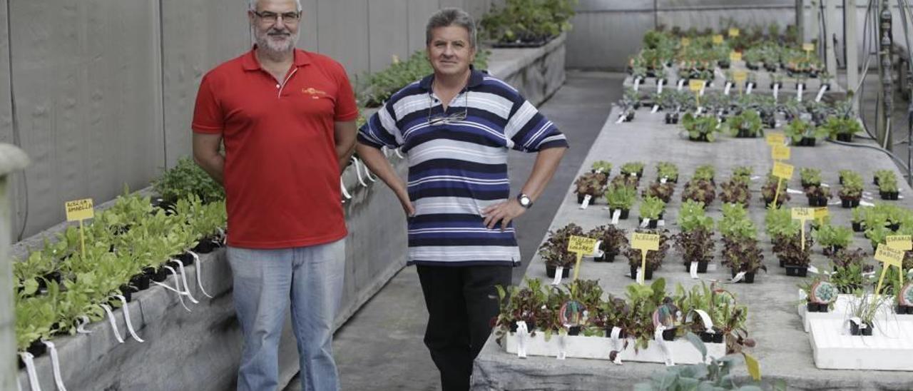 El gerente de Can Juanito, Joan Sastre, y el dueño, Francesc Mulet, en la zona hortícola del vivero.