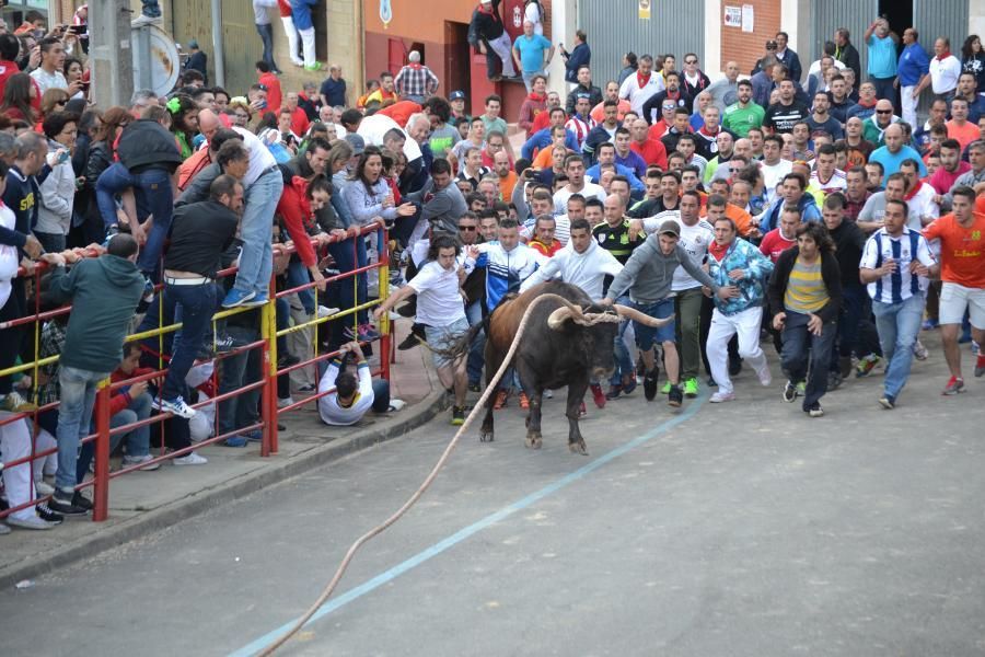 Enmaromado 2016: Lechugazo da la talla