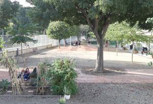 Transformem els Patis: la iniciativa de Parets que pretén convertir els patis en «coeducatius i naturalitzats»