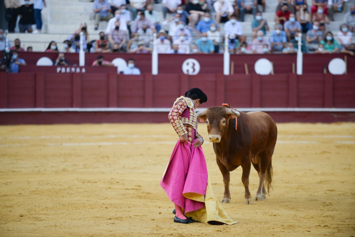 Las imágenes de la novillada en La Malagueta de la Feria taurina de Málaga de 2021.