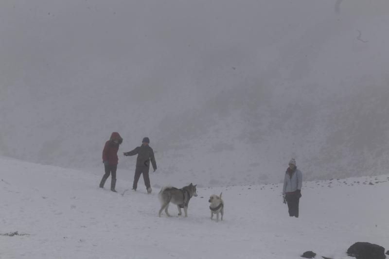 Visita al Teide nieve  | 06/12/2019 | Fotógrafo: Delia Padrón