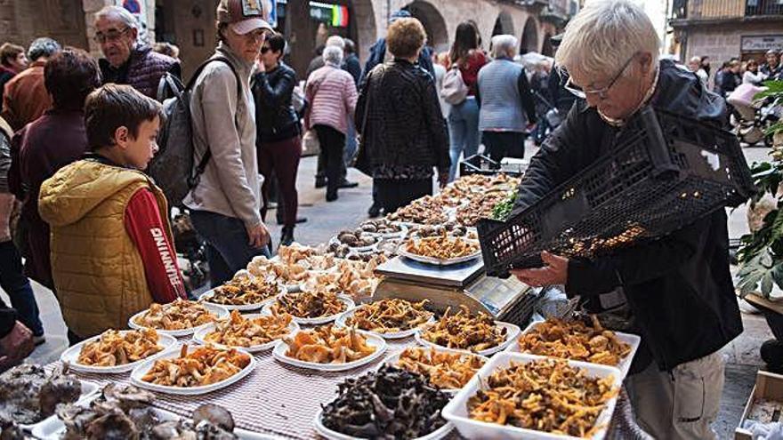 Venda de llenegues i altres bolets a la plaça del Mercat de Cardona