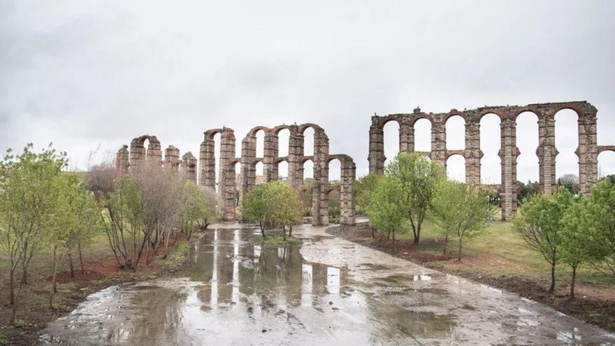 Ecologistas critica la tala de 39 árboles &quot;sin permiso&quot; en el cauce del Albarregas en Mérida