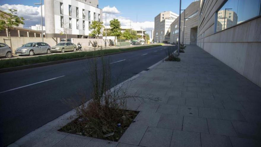 Toda la sombra de la calle Felicià Fuster, detrás del Palacio de Congresos, la proyectan los edificios. | GUILLEM BOSCH