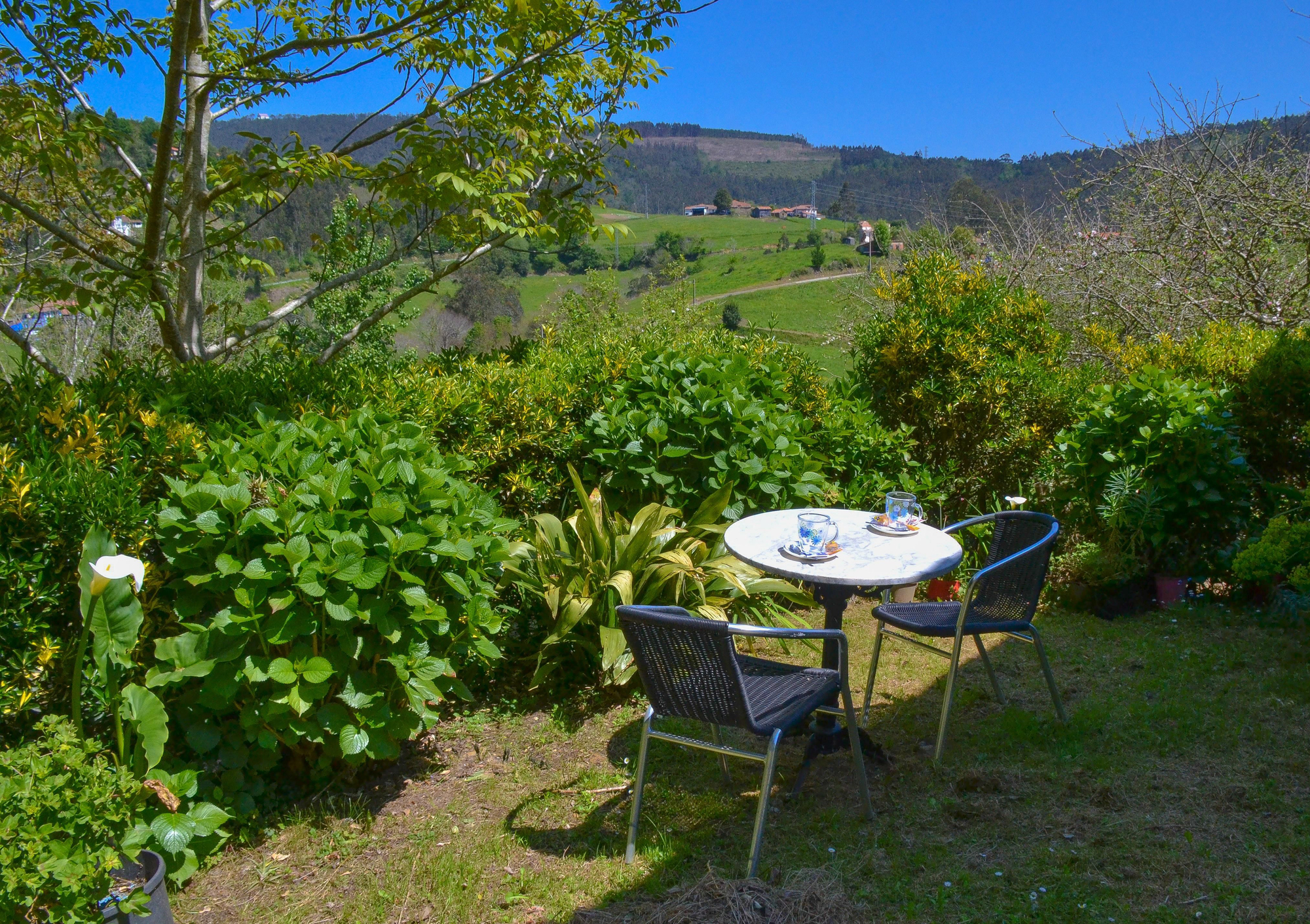 Mesa en el jardín donde tomar una infusión tras el masaje y disfrutar del las vistas del entorno.