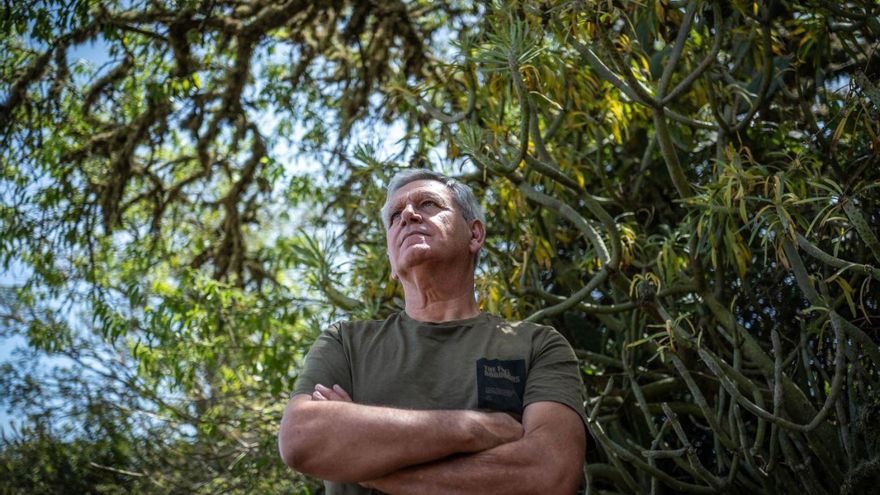 Murciélagos que comen polillas: el último intento de Tenerife por acabar con la plaga que devasta las papas