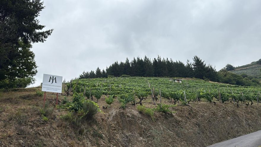 Descendientes J. Marcos: pasión familiar cultivada en la montaña