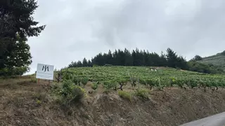 Descendientes J. Marcos: pasión familiar cultivada en la montaña