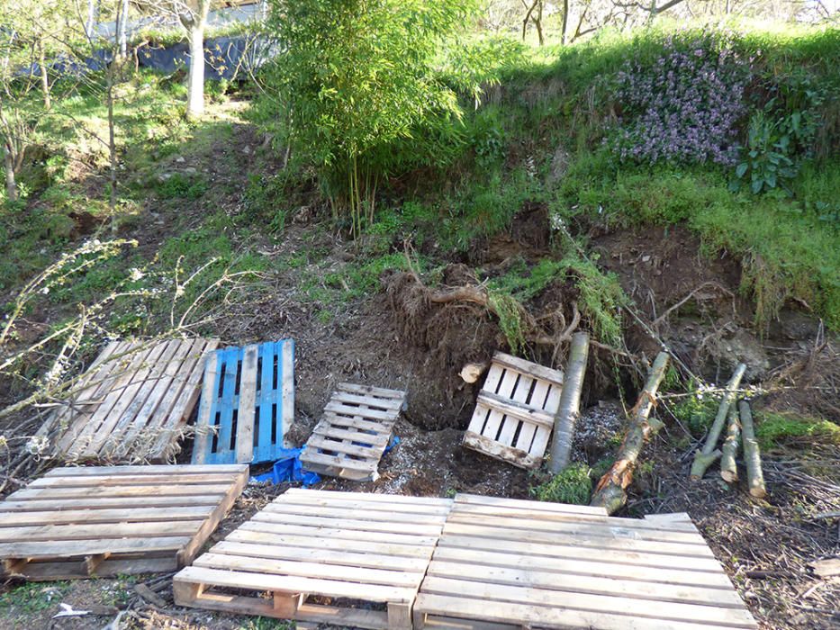 Fallece un hombre en Cangas del Narcea en un accidente de tractor