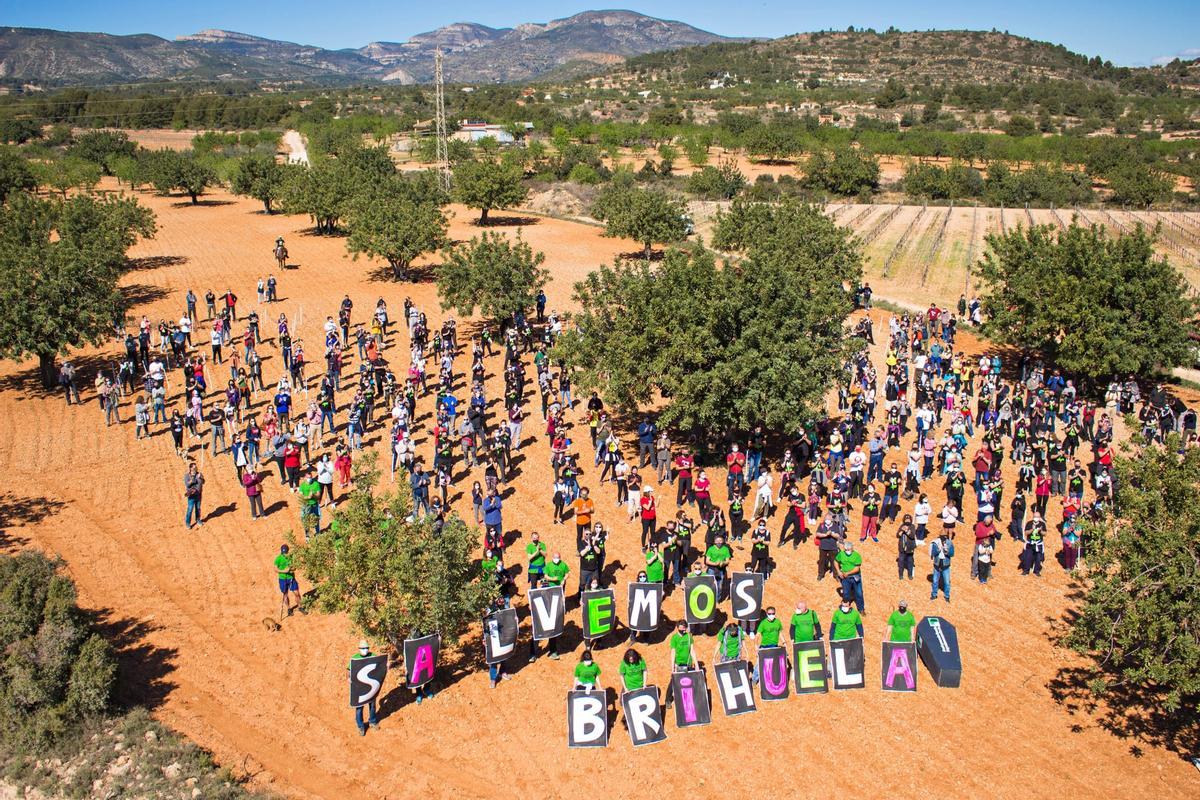 Manifestación contra el parque eólico de Brihuega, en Guadalajara.