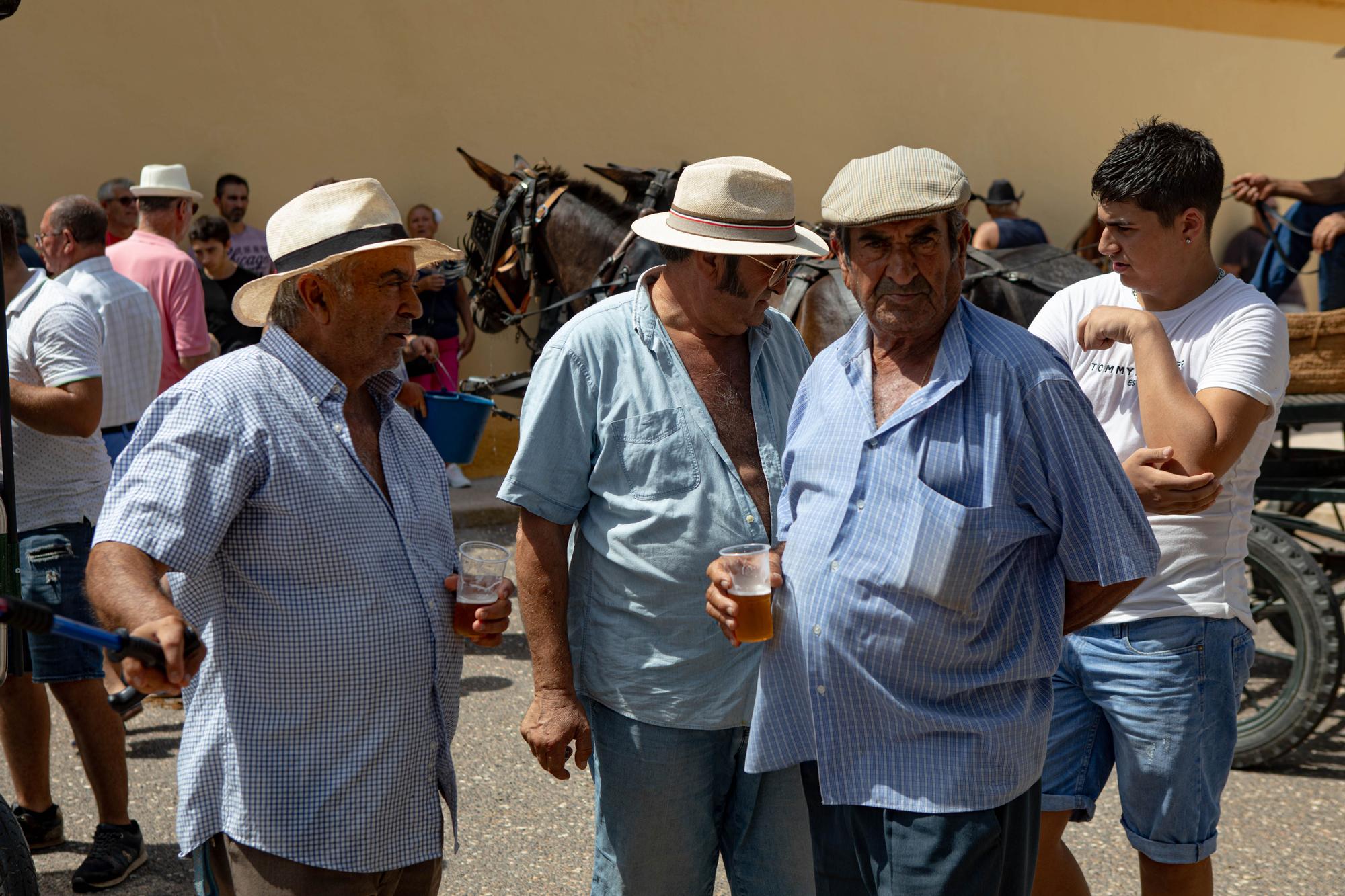 Romería de San Ginés de la Jara 2023