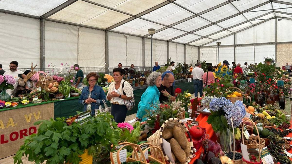 El Festival de la Huerta de Pravia contará con más de una treintena de expositores en esta edición, la número 53