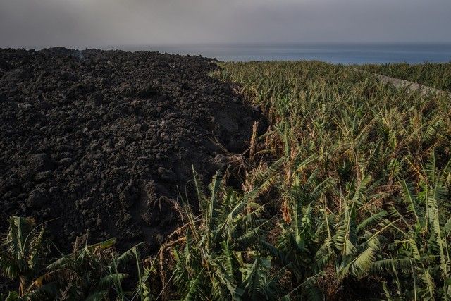 Volcán de La Palma, plataneras y zona de exclusión