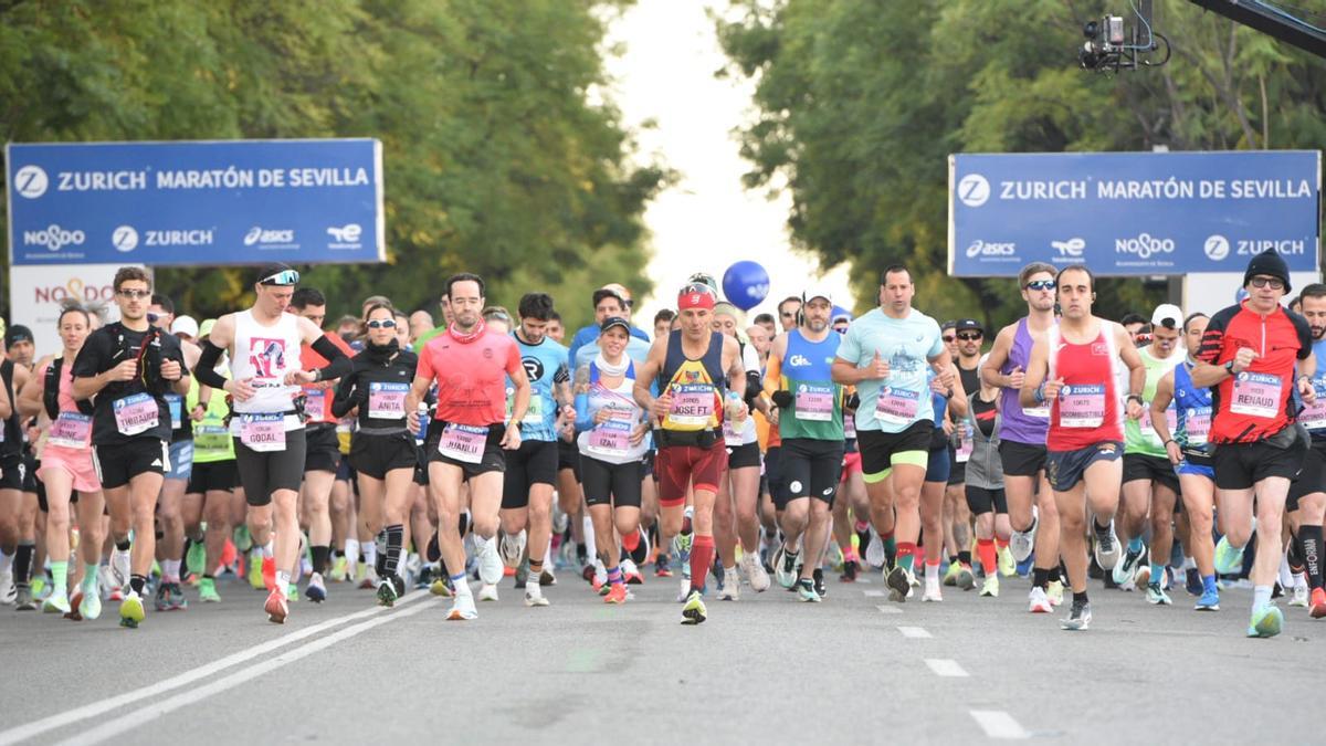 Participantes del Zurich Maratón de Sevilla de 2026